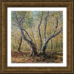 Tree in Quba Forest